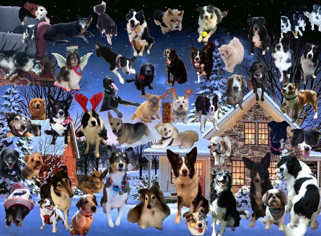 Puppy Bess and Auntie Kes tweet media