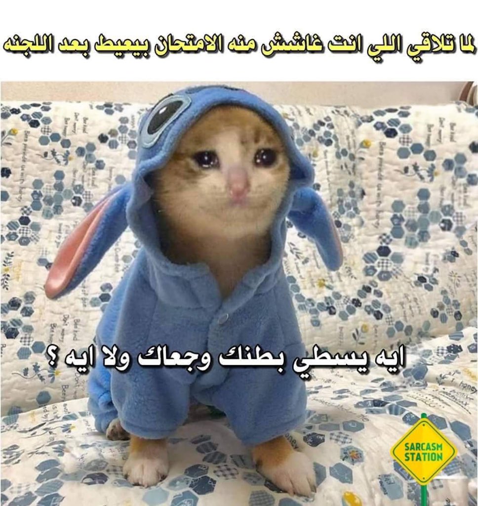 رياكشن برد