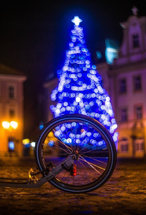 Wishing you  wonderful festive season and a joyful New Year. 
Thank you for giving us the chance to do what we love

Best wishes Ondrej from OP Scooters 🚚 🛴💚💚🇬🇧🛴 #christmas🎄 #festiveseason #kickscooter