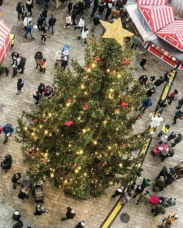 BeFreeTours's tweet photo. Merry Christmas everyone ❤️🎄🎅🏻 #christmas #bratislava #slovakia https://t.co/de34D8aI6k https://t.co/M1RosoJ3bh