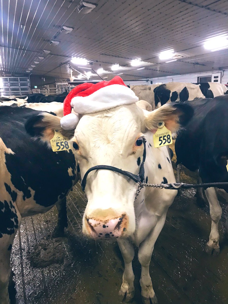 Merry Christmas from our farm to yours!