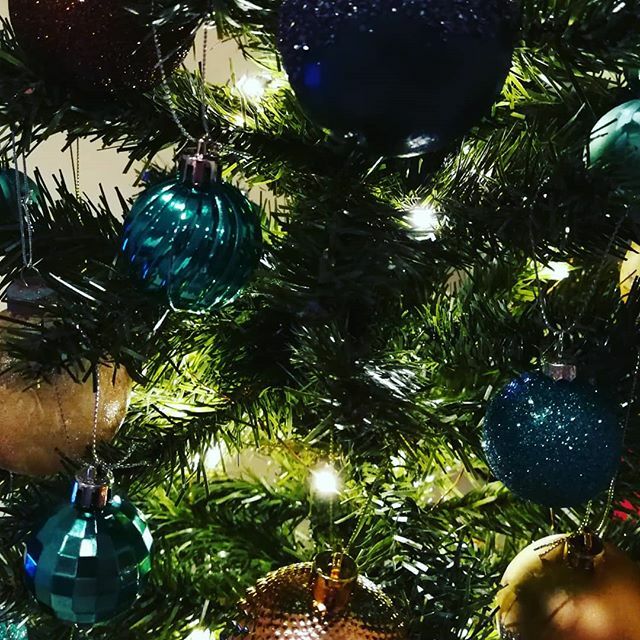 Crumbs_Fluff's tweet photo. A very Merry Christmas to all 🎄 https://t.co/J2FIVPtxX7 https://t.co/LaWNQM9GsI