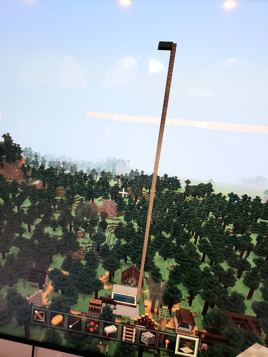 5yo is building a theme park in  #Minecraft. The 1st "ride" is a shallow pool with a diving board that's above the clouds.Don't worry though folks -it's safe! He put carpet on the diving board so "people won't slip and bump their heads"! 
