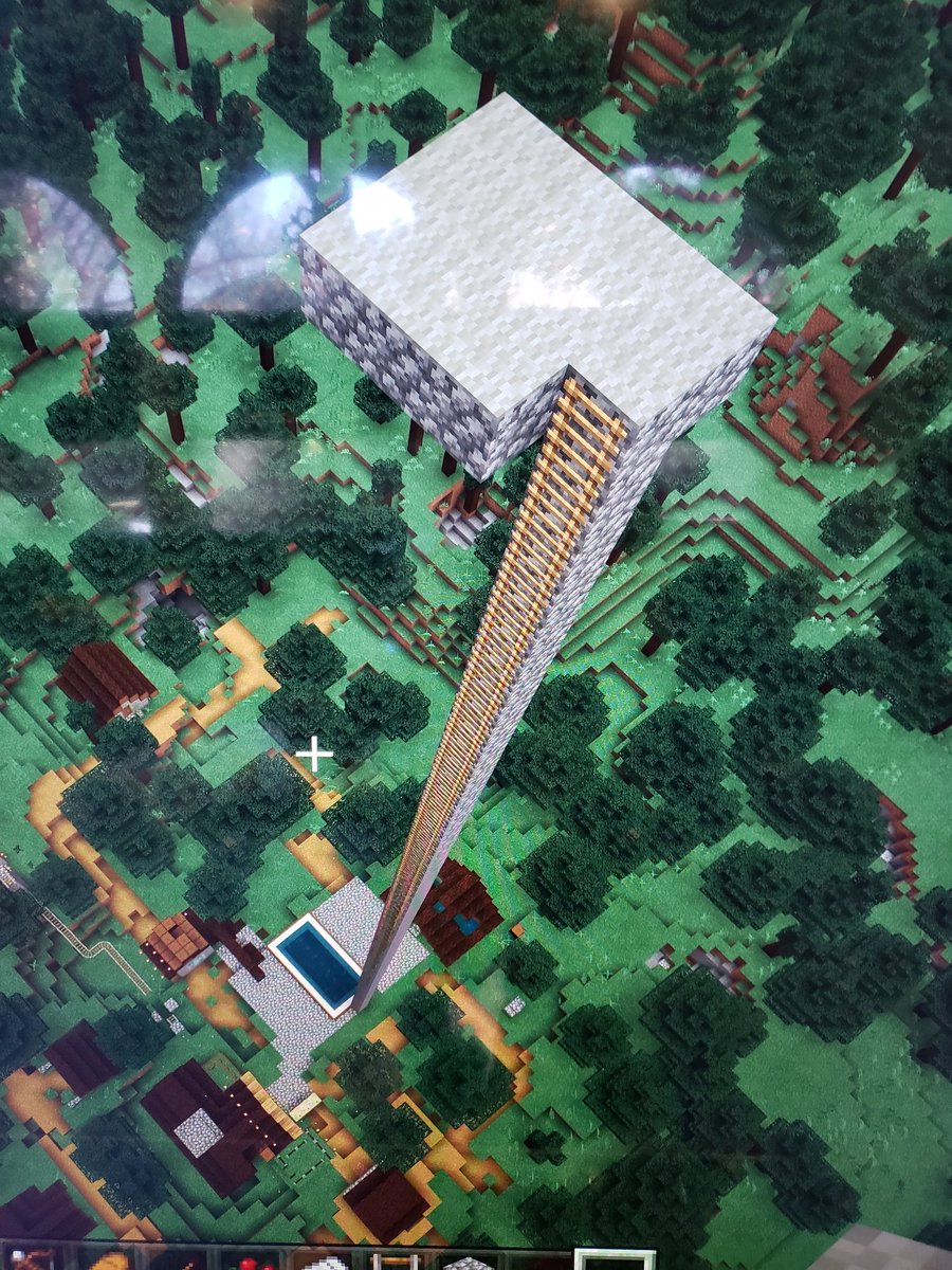 5yo is building a theme park in  #Minecraft. The 1st "ride" is a shallow pool with a diving board that's above the clouds.Don't worry though folks -it's safe! He put carpet on the diving board so "people won't slip and bump their heads"! 