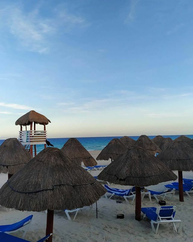 GoldenParnassus's tweet photo. Listen to the waves arriving to our shores. 🌊 Escucha las olas que llegan a nuestras playas.
.
.
.
#instaspot #cancun #caribbean #travelpics #traveling #wanderlust #instatravel #travelgram #rivieramaya #tulumvibes #luxurylifestyle #beautifulhotels #wellness #goldenparnassus … https://t.co/Y58Ax73XPn