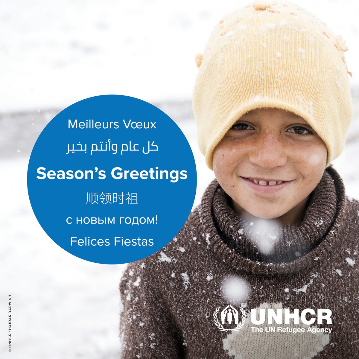 UNHCRCanada's tweet photo. Seasons greetings from the entire team at 🇨🇦🍁 UNHCR Canada! In whichever language you speak, we wish you a happy holiday and a wonderful new year.

Looking for a way to give back this holiday season? Donate now to help refugees: https://t.co/KVtHoYBG49 #TuesdayMotivation https://t.co/3tijUa50gG