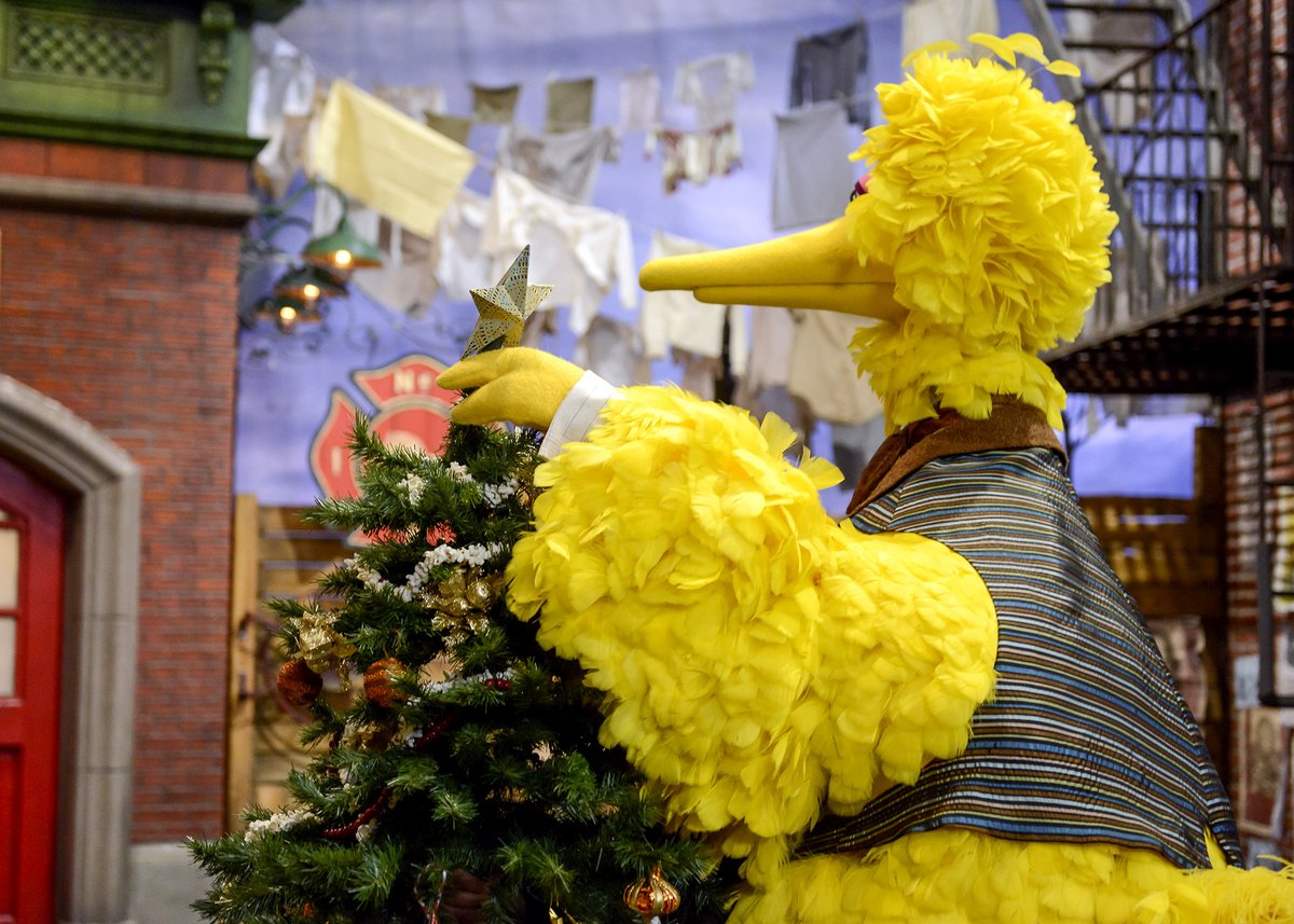 Yellow Feather Fund tweet media