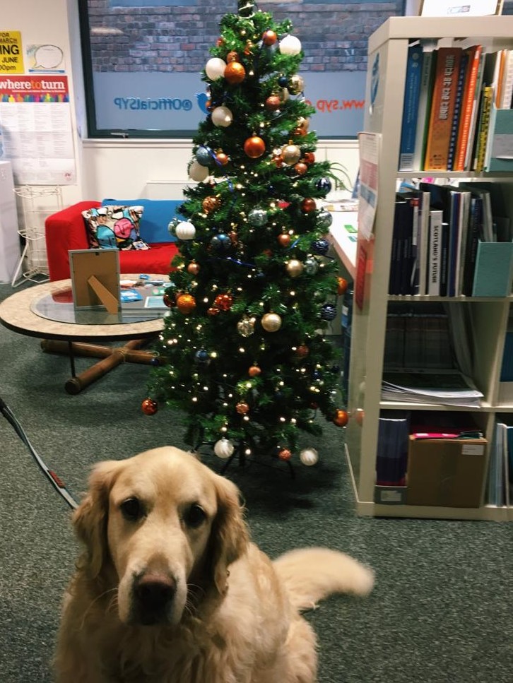 We wish everyone a lovely Christmas and New Year!

This year we've donated to <a href="/whocaresscot/">Who Cares? Scotland</a> in lieu of sending Christmas card. 

We look forward to 2020 - another year of hard work to ensure young people are involved in Scotland's decision-making 🎉