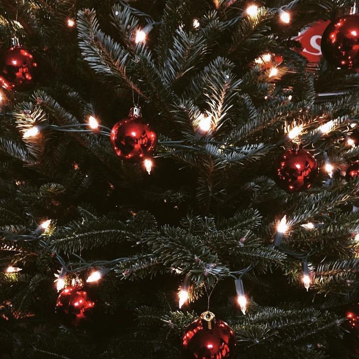 🧦🎀 𝐇𝐎 𝐇𝐎 𝐇 𝐎 🎄✨
一 𝐌𝐄𝐑𝐑𝐘 𝐂𝐇𝐑𝐈𝐒𝐓𝐌𝐀𝐒  🎅💌 
   เค้าเชื่อว่าหลายคนรอคอยเทศกาลนี้มานาน รวมถึงเค้าด้วย เค้าขอให้ทุกๆคนมีความสุขมากๆนะคะ ขอให้คริสต์มาสของเธอในปีนี้พิเศษกว่าปีก่อนๆ 𝐌𝐄𝐑𝐑𝐘 𝐂𝐇𝐑𝐈𝐒𝐓𝐌𝐀𝐒 ค่ะ 🦌🎄✨