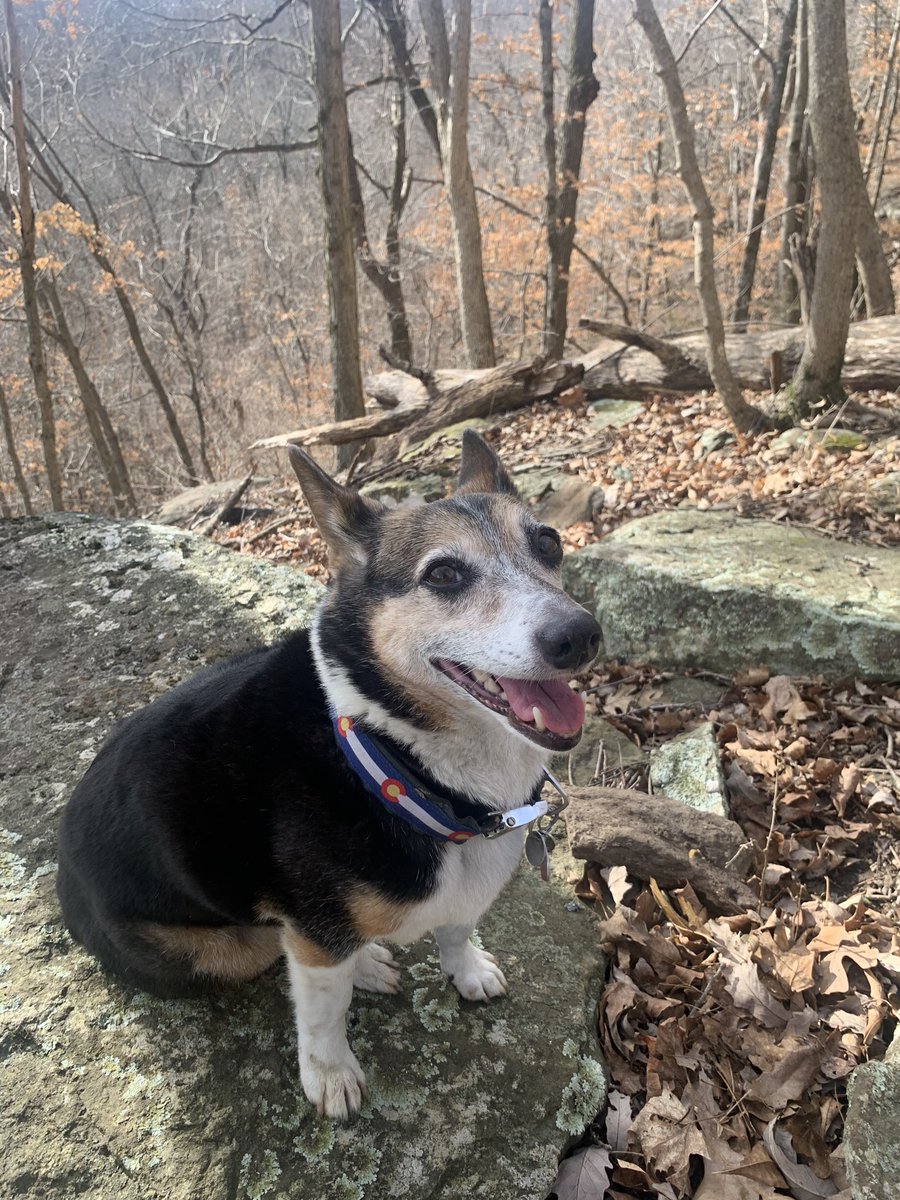 adrienneelrod's tweet photo. Never met a hike she didn’t like. #Bern #MountKessler https://t.co/7XvsyG9tSD