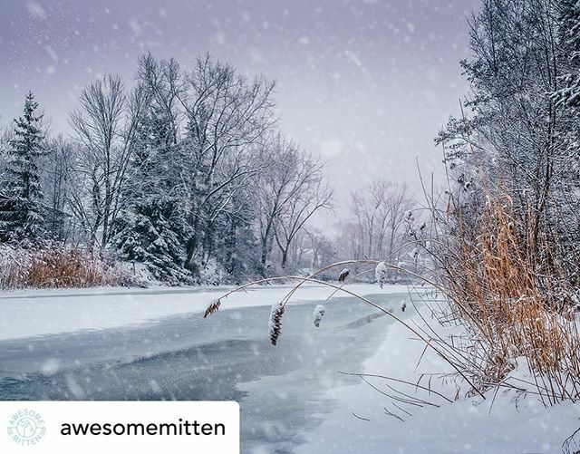 BethMillner's tweet photo. Such a cozy scene ❄️☕️ What are your plans this Christmas Eve? 🌲 Posted @withrepost • @awesomemitten 📷: @michiganaddicts: A January snowstorm blows across the Pigeon River in Caseville. #MittenLove #MittenTakeover https://t.co/DwbhBILcMU https://t.co/FznVKYDPHI