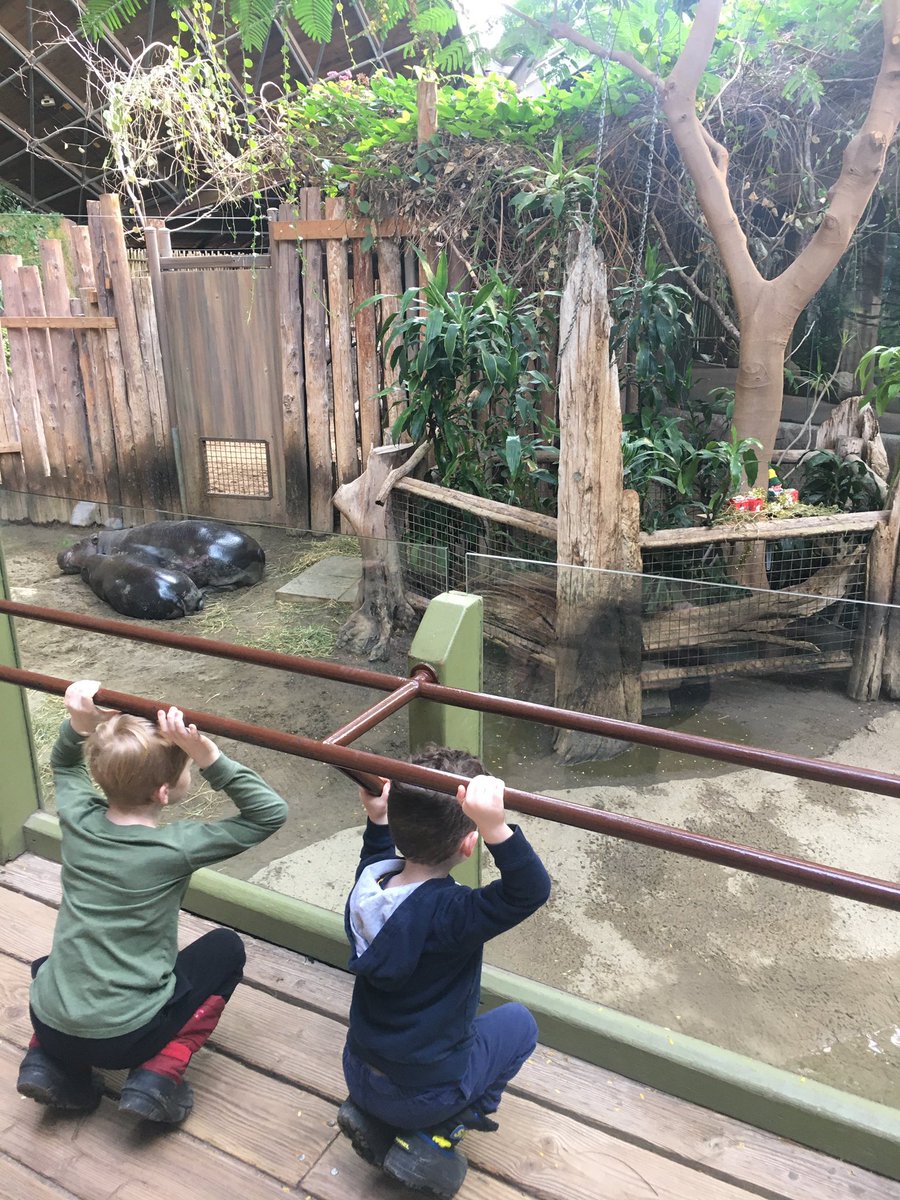 We found Zelf at the Toronto Zoo. #ZelfOnAShelf