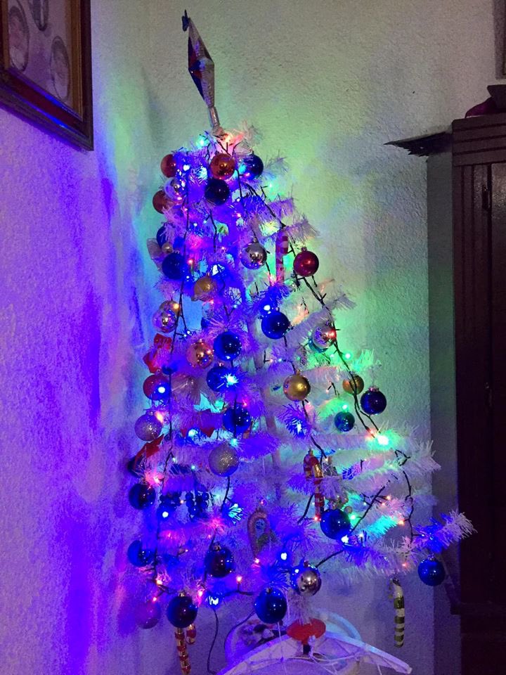 Memesconclona's tweet photo. Mi mamá no se dejaba de quejar todo el tiempo de que nuestro arbolito estaba chueco, me estresé y tuve que solucionarle el problema. 

Solucionado 

Creo que esto se merece un Rt https://t.co/p9QIj6Dvwc