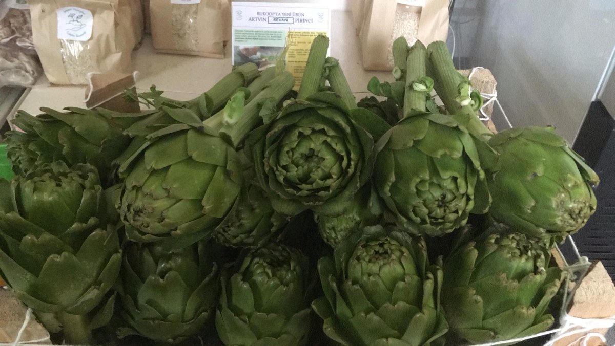 bukoop's tweet image. Urla&apos;dan sakız enginar geldiiiii!