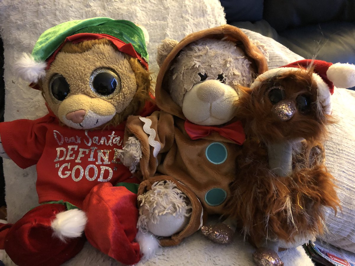 tedaros's tweet photo. SPENDING CHRISTMAS EVE WITH MY BEST FRIEND BRONZE AND MY NEW FRIEND OGIE! 🎄 https://t.co/JDTPmpKlQ0