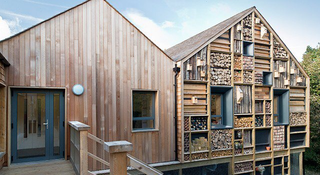 Oh!! We need MORE of this 😍🐝 #wildlifewalls on buildings! #savenature #stateofnature #wildlife
