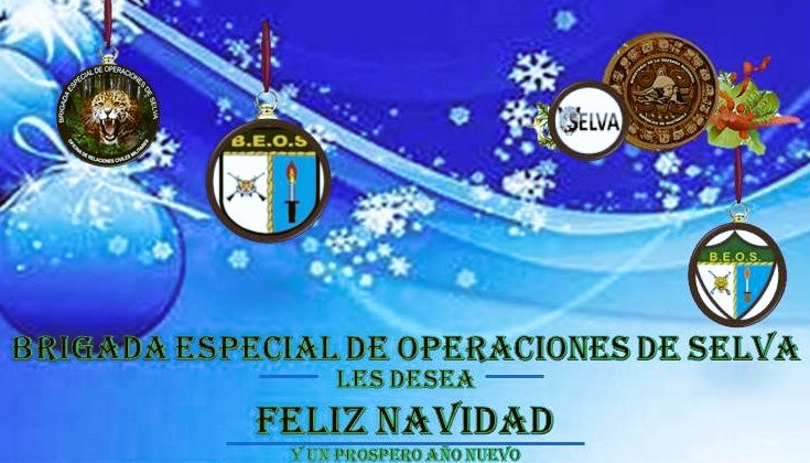 BEOSelva's tweet photo. Los Soldados Selva les desean una ¡Feliz Navidad! y un ¡Próspero Año Nuevo 2020!, estando presentes en cada rincón de la Selva Petenera para velar por la paz y seguridad. #365DiasAlServicioPoblacionPeten https://t.co/3sxv5eucV0