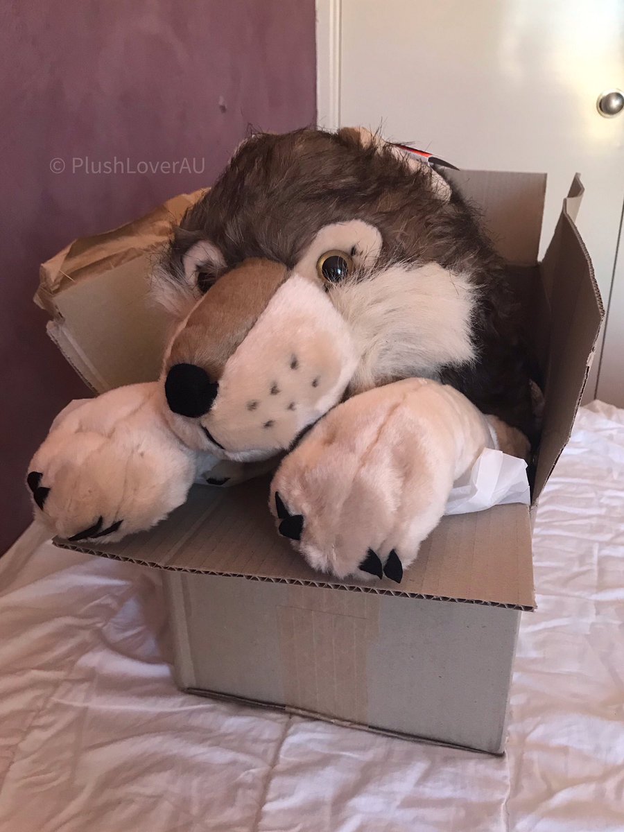PlushLoverAU's tweet image. I bought this @Wild_Republic cuddlekins jumbo wolf plush recently. I&apos;ve been waiting for years to get that plush. I name it Akira.

fav.me/ddk7rpe

#wolfplush #wildrepublic #plushie #plushloverAU #wolfplushie #cuddlekinsplush #owo