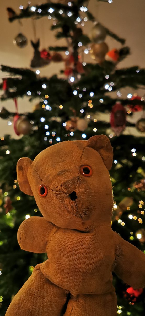 Happy Christmas #furends everywhere! Have a wonderful time! ♥️🎄#furrytails