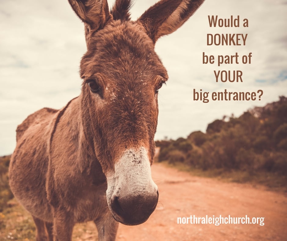 NRaleighChurch's tweet image. Different kind of #KIngdom, different kind of king = different kind of follower. #liveJesus #giveJesus