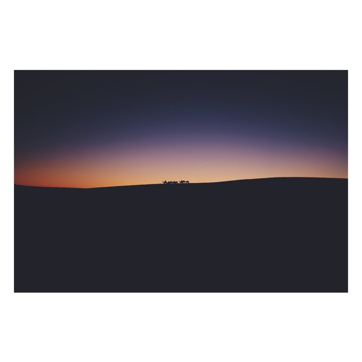 CharlesPattson's tweet photo. This time last year I was in the desert and I managed to capture the camels on the horizon at sun set. More moment like that in 2020 please 😍

Zoom in and you can see the moon next to them too. Wild! 🐫 🐫🐫🐫 https://t.co/0vxh3HvCnW