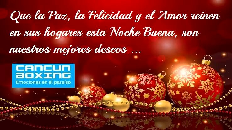 Cancun Boxing tweet media