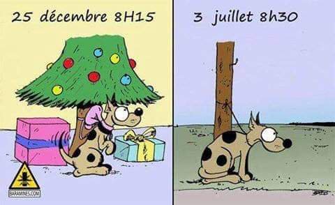 LigueDesAnimaux's tweet photo. Un animal n'est pas un objet
Un animal ça s'assume
Un animal ça se regrette pas
Un animal ça se respect
Un animal n'est pas une peluche
Un animal n'est pas un cadeau de noël.

En résumé, n'offrez pas de chien si c'est pour après le redonner ou de l'abandonner.
#JoyeuxNoel https://t.co/yb5Bh9qSfP