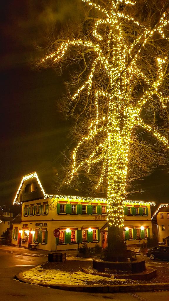 HVitranc's tweet photo. Merry Christmas to all! 😉

#hotel_vitranc #vitranc #podkoren #kranjska #kranjskagora #krgora #christmas https://t.co/Pv535y20jS