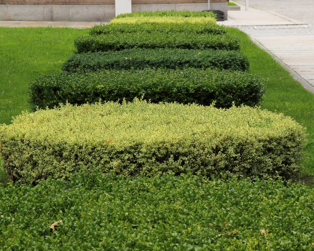 bucks_care's tweet photo. Follow us across all our #socialmedia to stay #uptodate with all of our #TreeCare services. To quickly find the links, check out our website today! Give Us A Call at # (267)621-4773 today! #TreeTrimming #LotCleaning #SpringCleanUp #Bensalem19020 https://t.co/lqRCCHcTGd https://t.co/HJRfPaBXai