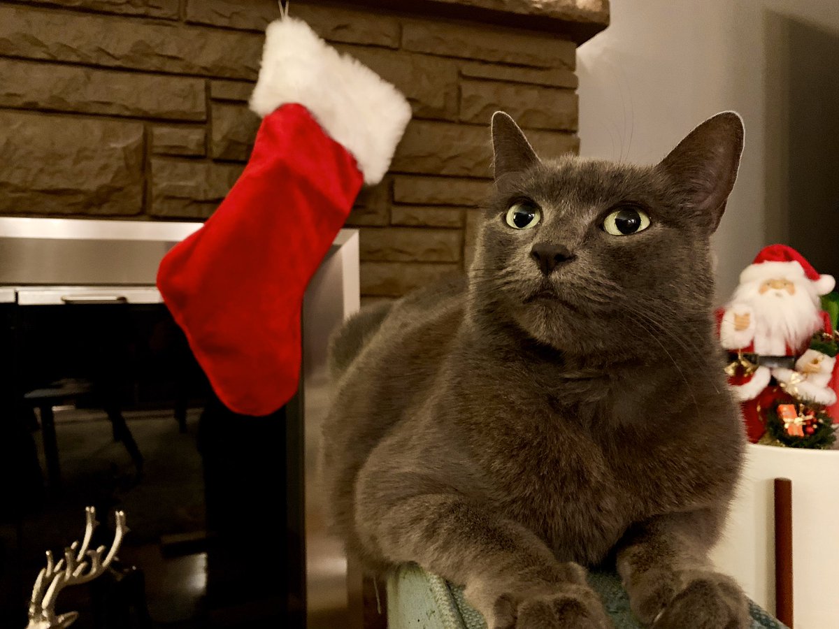 Matt Gilbert #RIPDoriMonson 🇺🇸🇮🇱 tweet media