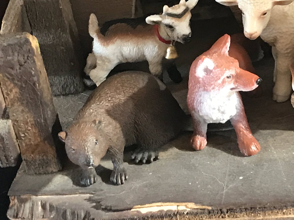 American Beaver in Nativity, for all our Canadian friends!