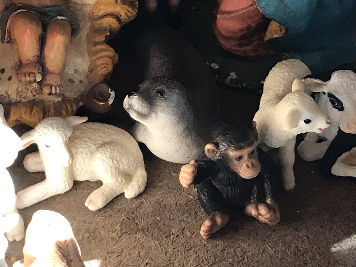 Christmas seal and a baby chimp amid the lambs.