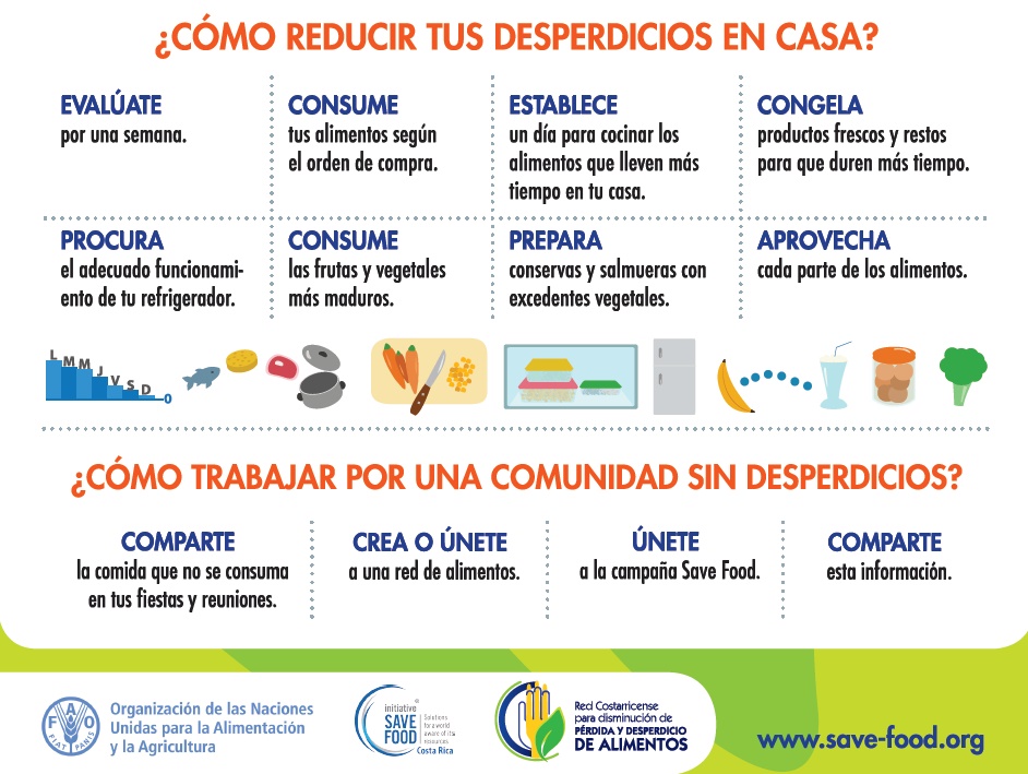 FAOCostaRica's tweet photo. En este 📅mes de diciembre te brindamos unos consejos para contribuir a reducir el desperdicio de #alimentos en 🏡casa: 

1️⃣📈  Evalúate por semana 
2️⃣🍓Consume frutas🍏 y vegetales más maduros
3️⃣🍉Aprovecha cada parte de los🍞 alimentos

☝️#NoWasting https://t.co/X2HtExrCvP
