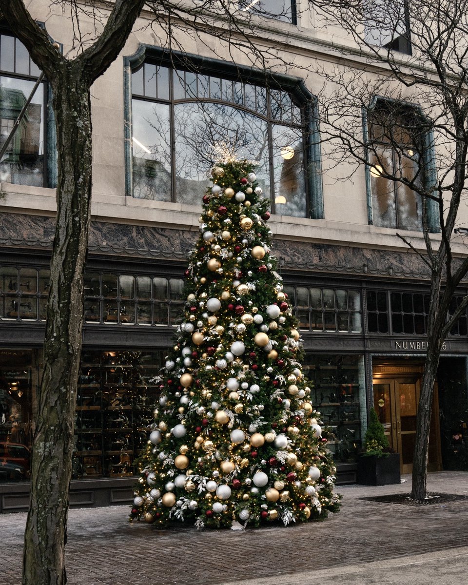 Back Bay Association tweet media