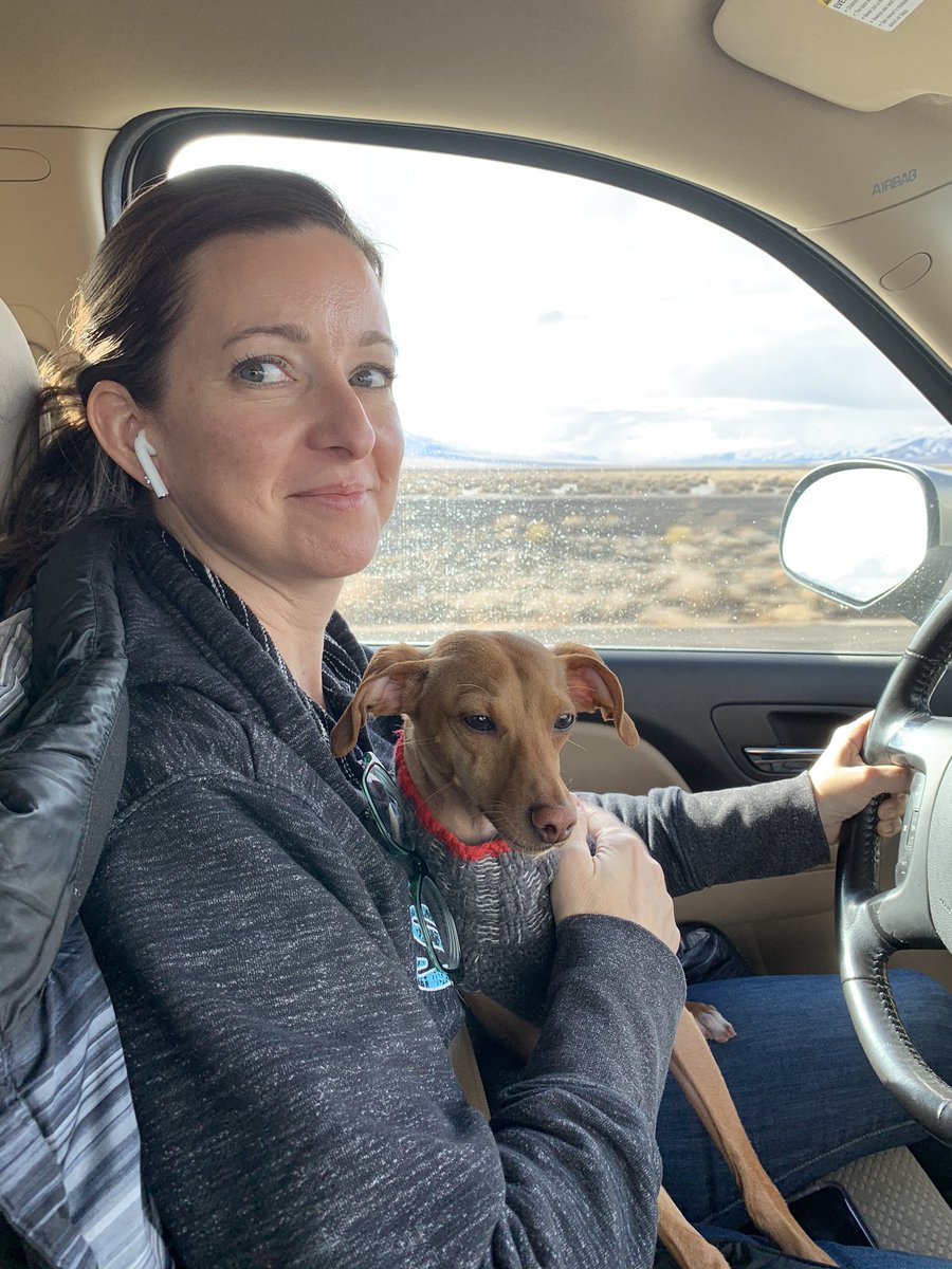 ppfftr's tweet image. Dog is my copilot.