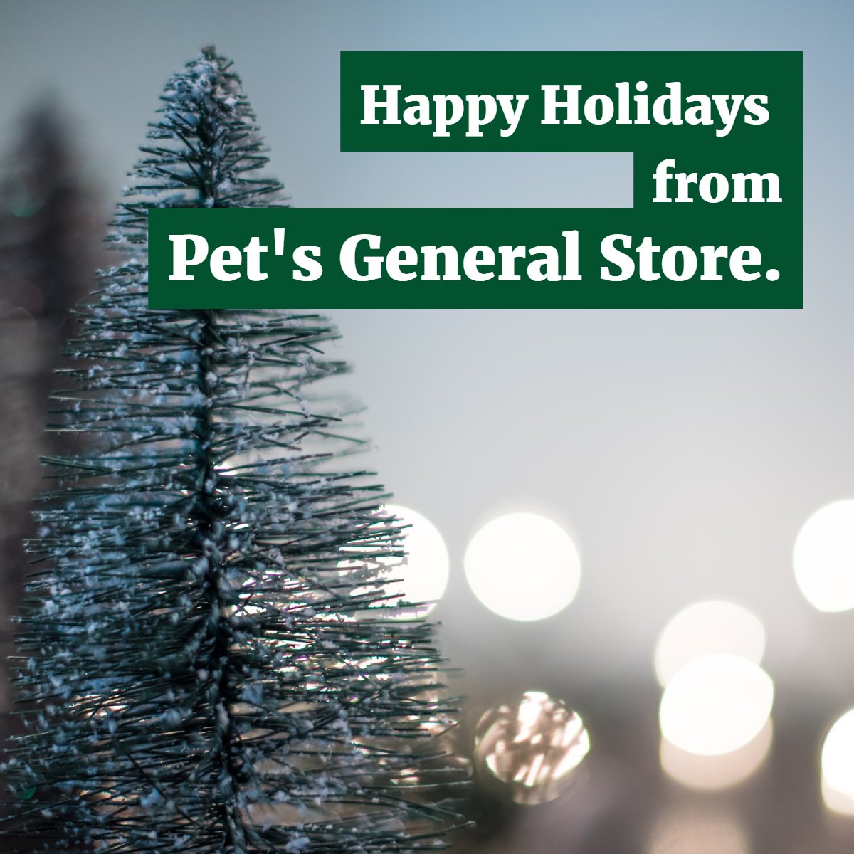 PetsGenStore's tweet image. We hope you enjoy spending time with the ones you love most.