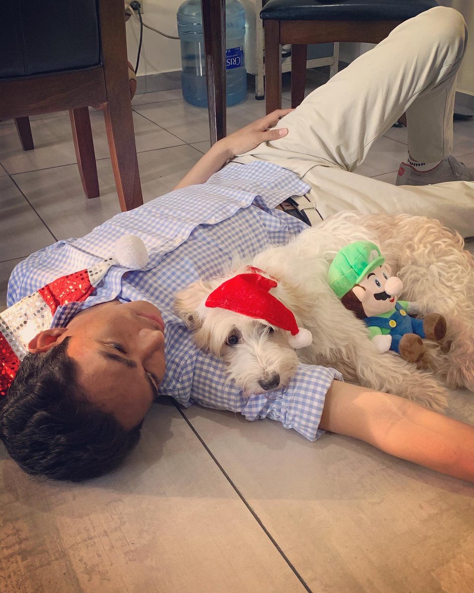 Fernanfloo's tweet image. FELIZ NAVIDAD GENTE!! 🎄... Les desea Fernan y Curly 🐶