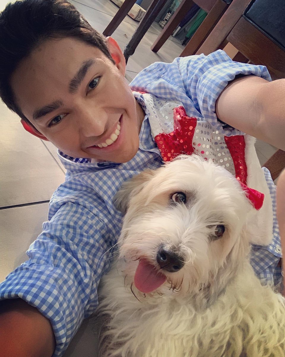 Fernanfloo's tweet image. FELIZ NAVIDAD GENTE!! 🎄... Les desea Fernan y Curly 🐶