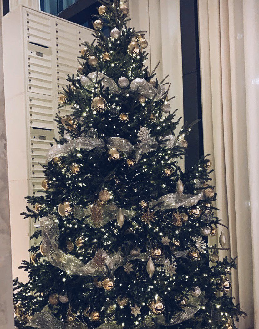 mucharraz's tweet photo. Merry Xmas!!!!!!! To all of you!!! Por una gran Navidad felicidades a todos  🎄 https://t.co/kxtXjIYP7n