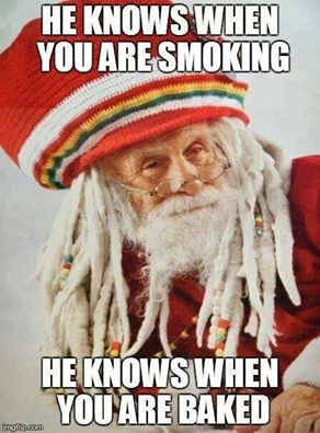 SensibleSeeds's tweet photo. Are you on the naughty or nice list? 😂🌱🎄🎅 #merrykushmas #bakedxmas #weedlife https://t.co/NNKSHn4Fhs
