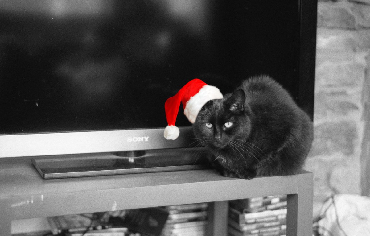 sunkcostgalaxy's tweet photo. merry christmas 2019 https://t.co/JW4OSyijtR