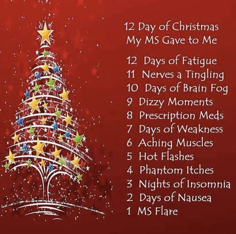 got_myelin's tweet photo. Merry Christmas, everyone!! #MS #RRMS #multiplesclerosis #relapsingremittingmultiplesclerosis #chronicillness #spoonie #msproblems #mshumor https://t.co/8fkq8WpFZg