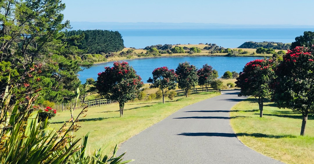 The Pohutukawa trees in full bloom ☀️ Wishing all my friends a very Merry Christmas from Hawke's Bay New Zealand. 🎄
#capekidnappers #robertsonlodges #relaischateaux #luxurylodgesnz #hawkesbay