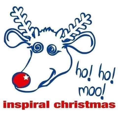 FudgeFudgebear's tweet photo. Happy Xmas @therealboon  BB xx #boonarmy https://t.co/K9fdSmuwxB