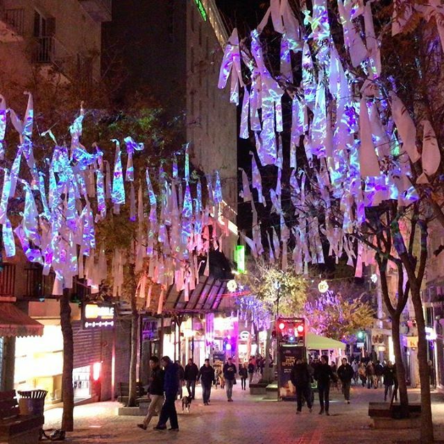 OGE_Group's tweet photo. Happy Hannukah and Merry Xmas!! Our digital wishing frees for a great New Year ahead of everyone!! Wishing you all the Best, and stay tuned for many new works by OGE. #ogegroup #hannukah #jerusalem #lighttheworld #lightart #festivaloflights #wishingtree … https://t.co/4ggvG9GAFY https://t.co/gMGwj0nFUT