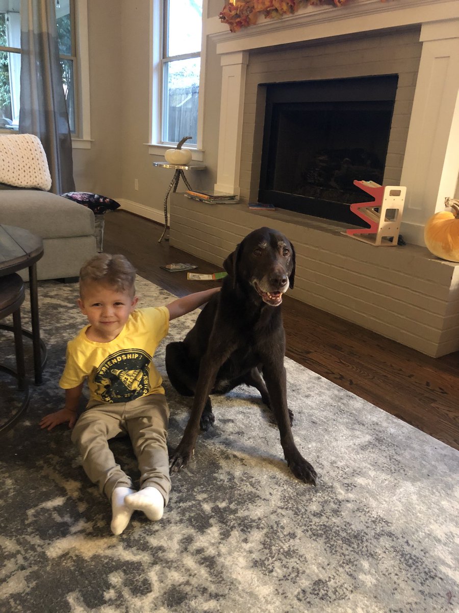 SeanLowe09's tweet photo. Yesterday was an amazing day for so many reasons but mainly because Ellie celebrated her 13th birthday after the vet said she only had a couple months left back in May. My eldest and favorite. Here’s to another 13! https://t.co/5jszMJ6By9