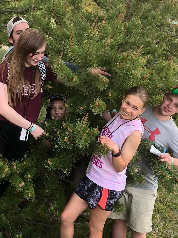 TheCoOp513's tweet photo. From all of the SMC 2020 Team, Merry Christmas &amp; Happy New Years! 
Although not traditional Christmas Trees we like these the best!

If you've wrapped up your shopping &amp; giving for the year, just sit back and enjoy this season with those closest to you! 

#MerryChristmas https://t.co/husCp5esXy