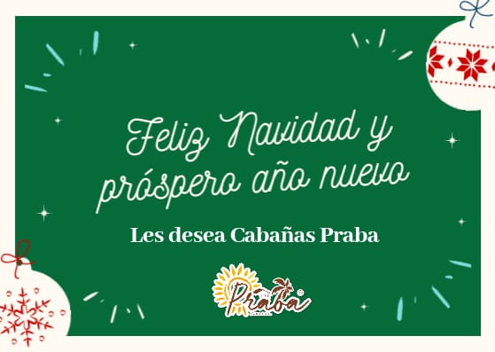 CabanasPraba's tweet photo. #Navidad #NavidadEnFamilia #hotel #playa #palomino #colombia #piscina #mar #naturaleza #cabañas #pareja #habitaciones #sol https://t.co/7z4jS5FCvb