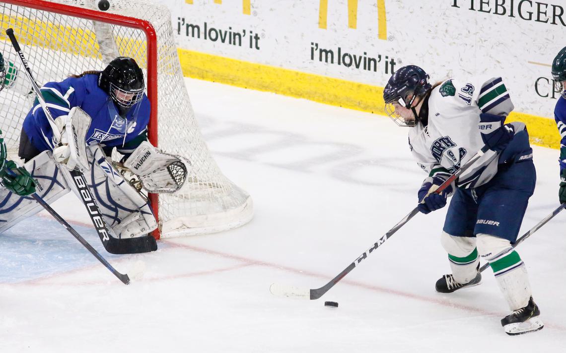InforumSports's tweet photo. Four seniors form foundation for Fargo North-South's undefeated hockey start https://t.co/kCjldWaIIZ https://t.co/IxdcdCvciY