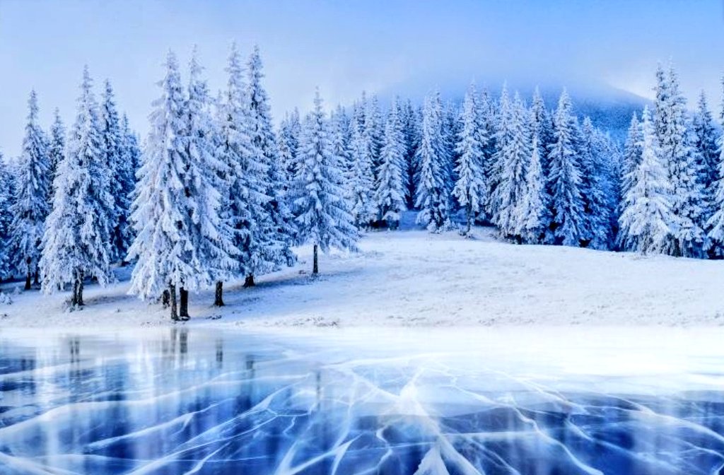 We wish everyone wonderful holidays!
🦌❄️⛄